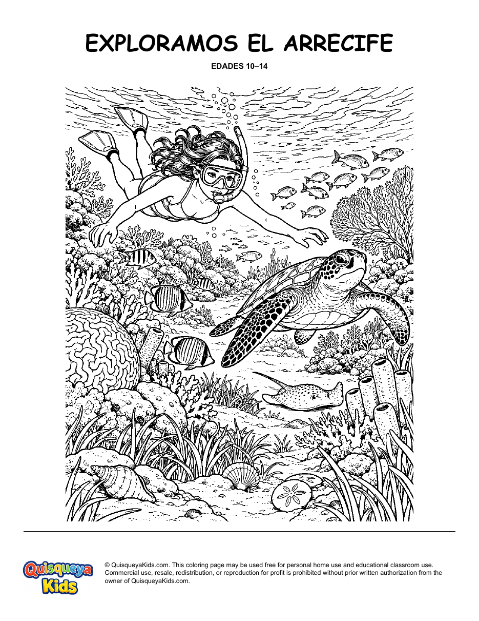 Preview of Caribbean Reef Explorer coloring page