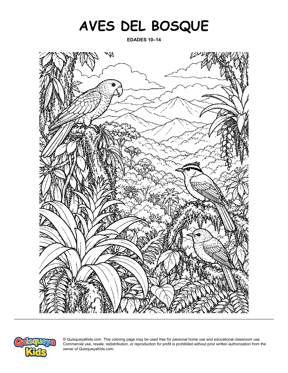 Preview of Birds of the Mountain Forest coloring page