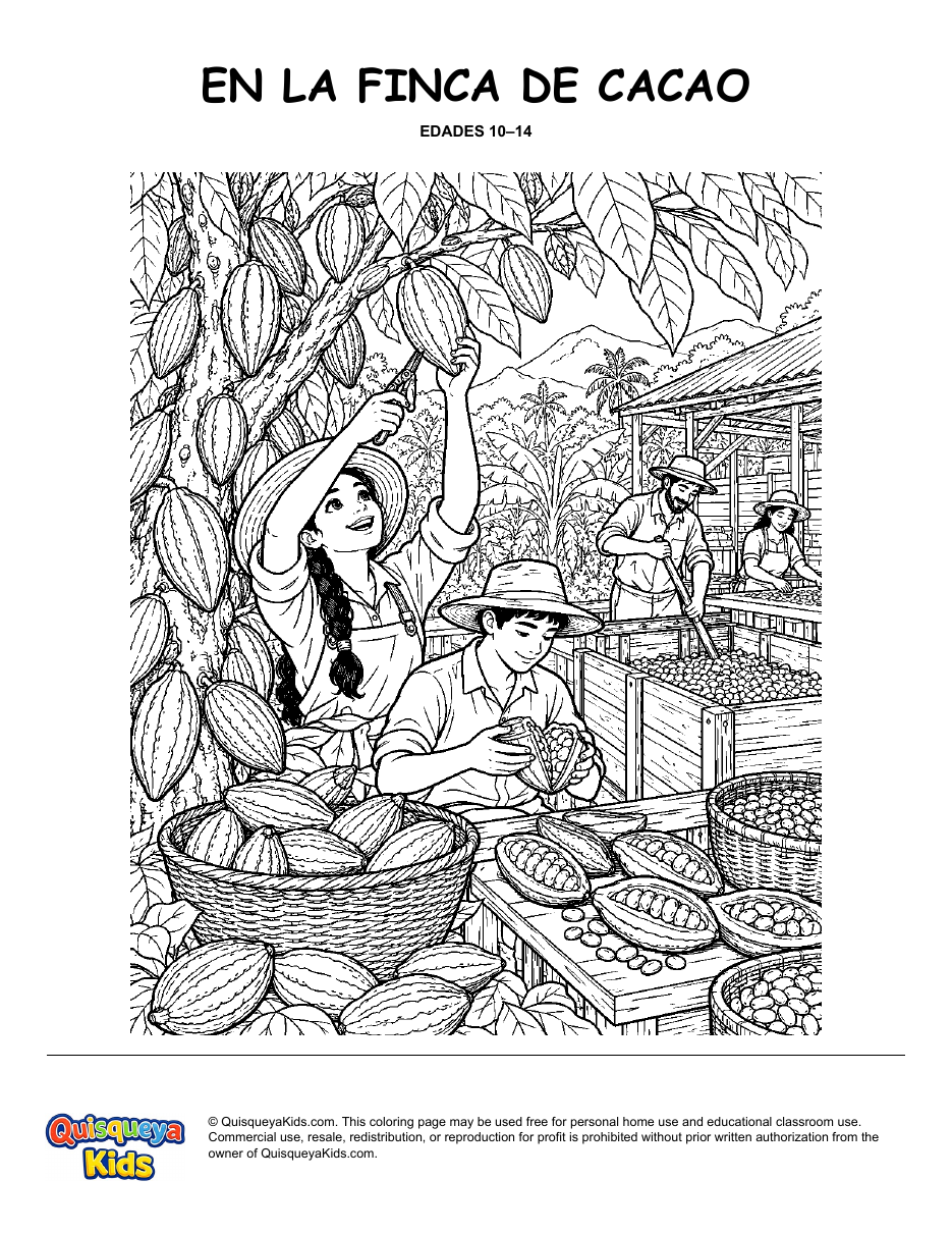 Preview of Inside a Cacao Farm coloring page