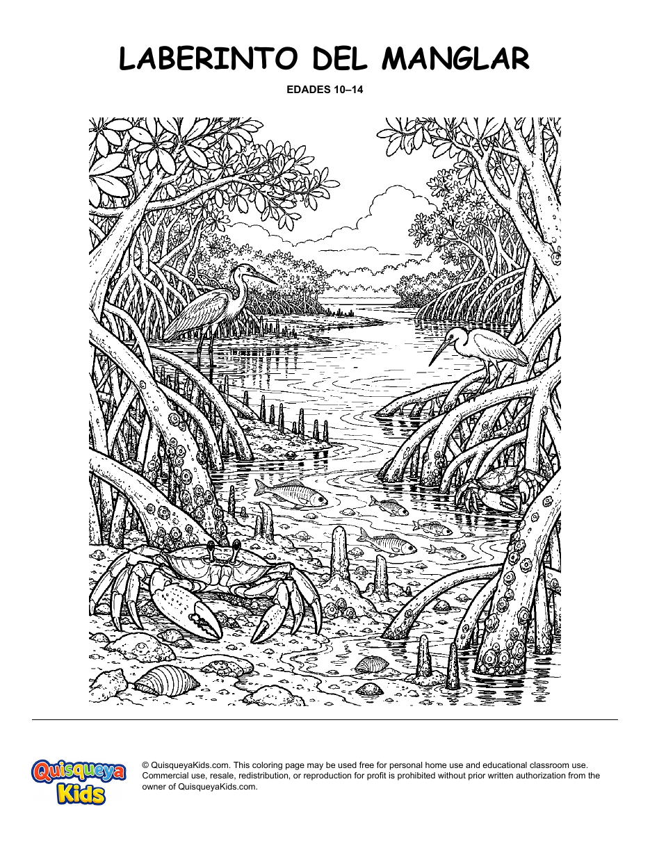 Preview of Mangrove Maze coloring page