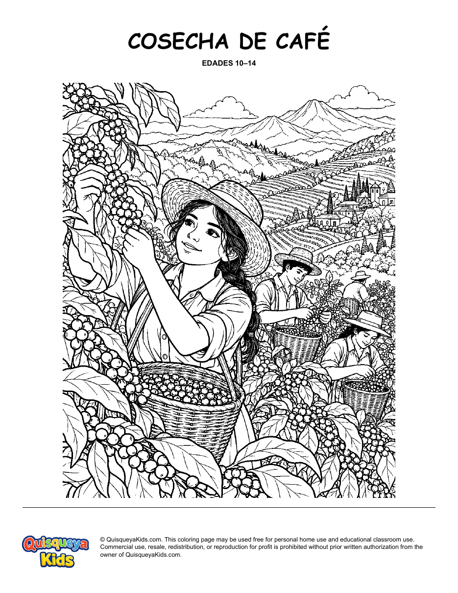 Preview of Mountain Coffee Harvest coloring page