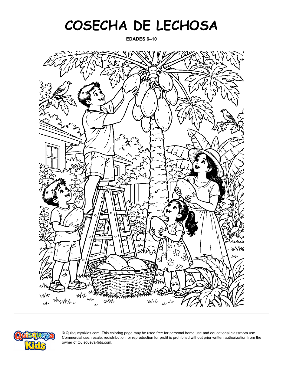 Preview of Papaya Harvest coloring page