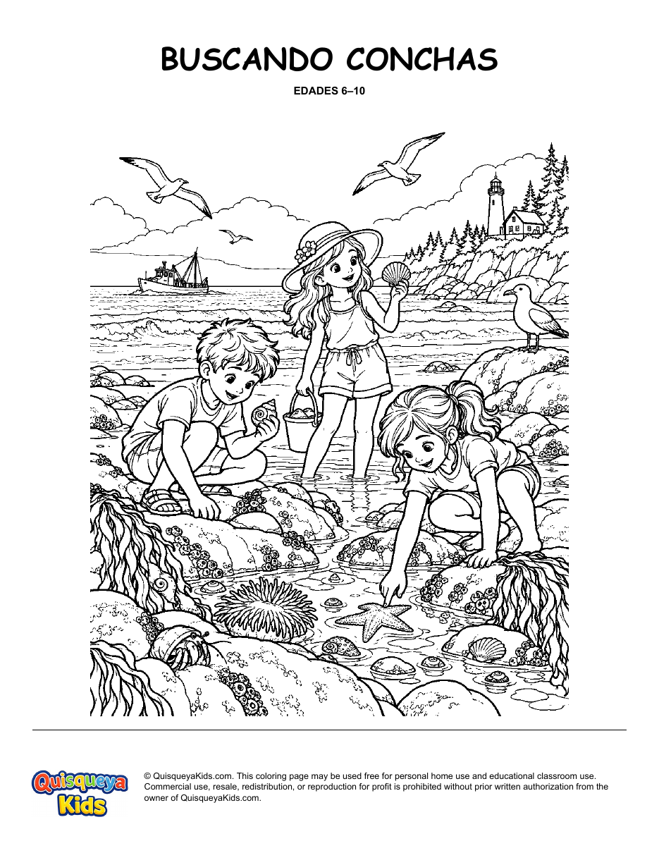 Preview of Seaside Shell Hunt coloring page